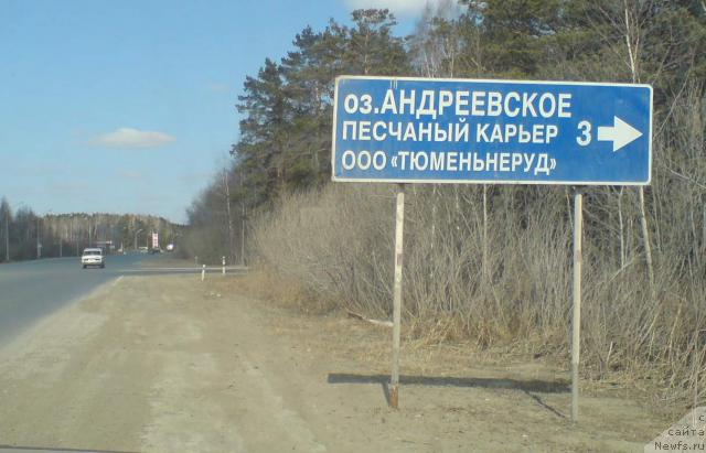 Фотография № 11946