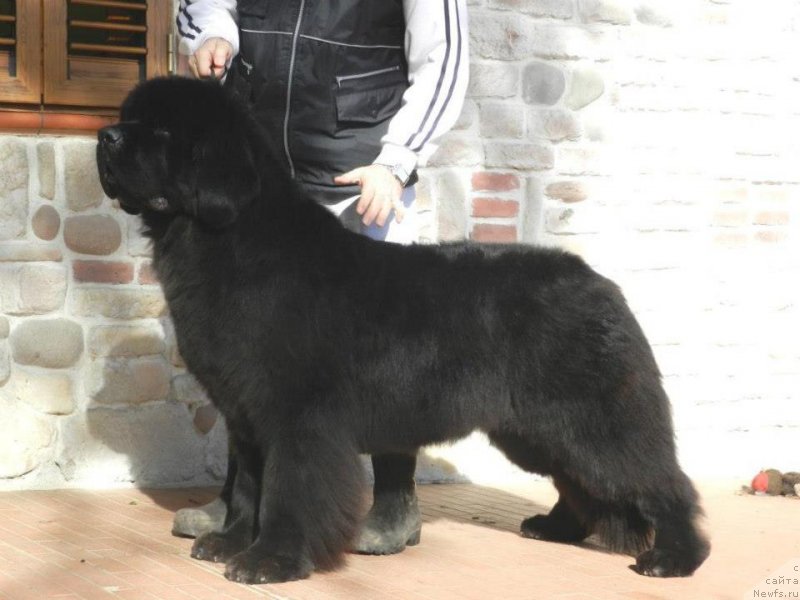 Фотография № 119469