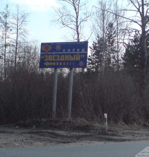 Фотография № 11947