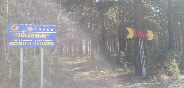 Фотография № 11948