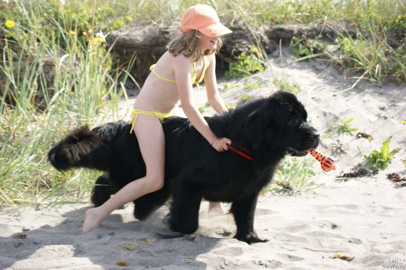 Фотография № 119483