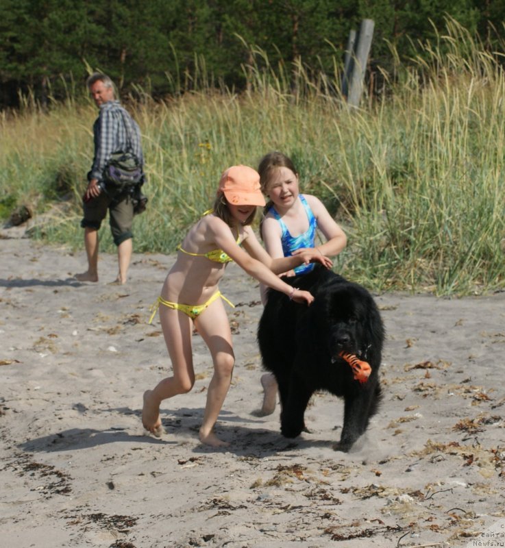 Фотография № 119484