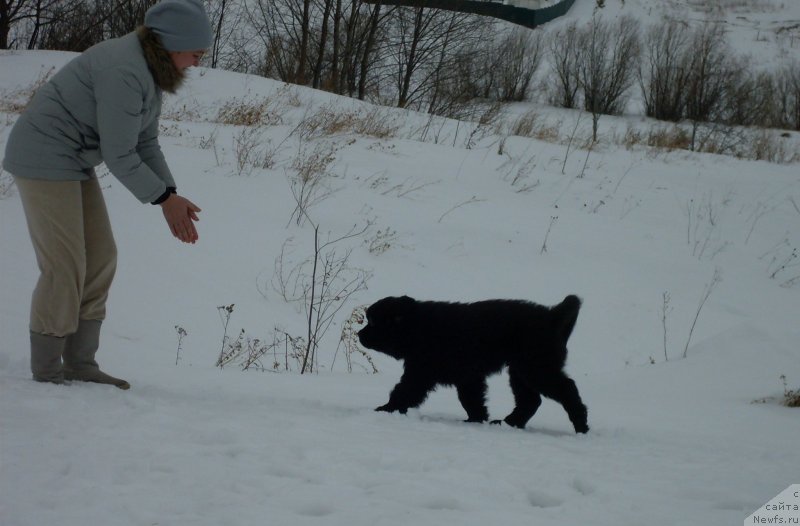 Фотография № 119489