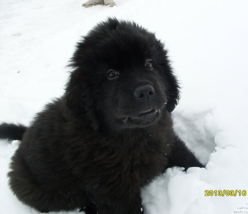 Фотография № 119491