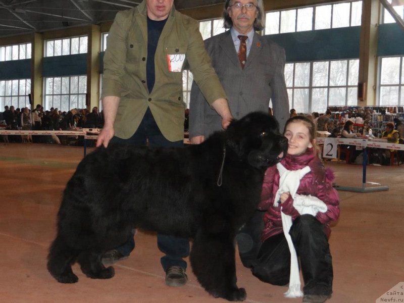 Фотография № 119500