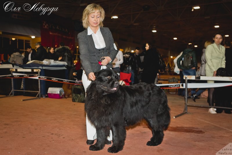 Фотография № 119507