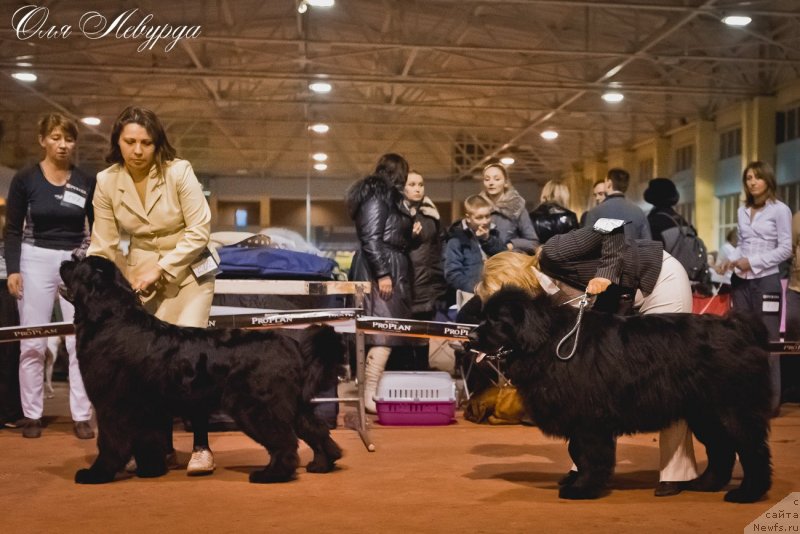 Фотография № 119520