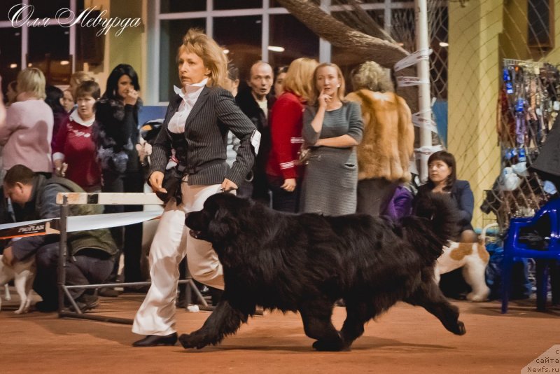 Фотография № 119522