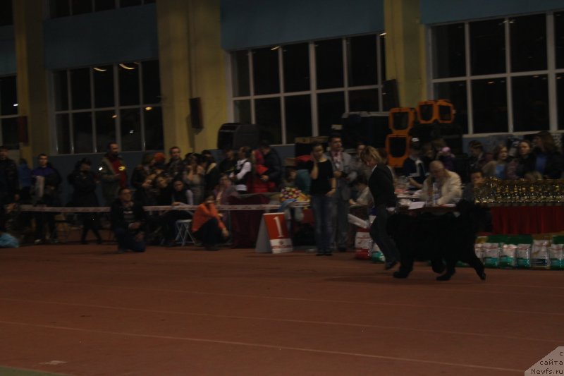 Фотография № 119525