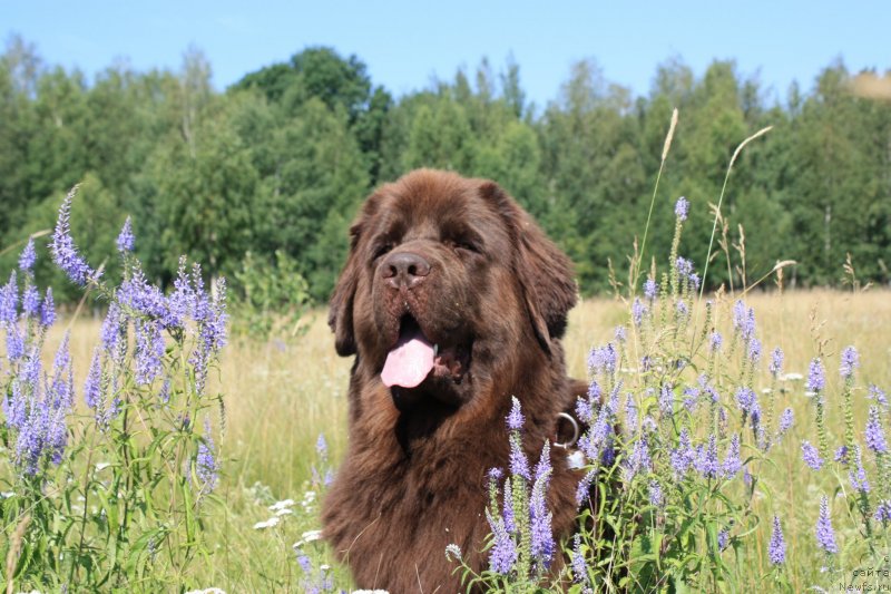 Фотография № 119557