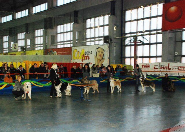 Фотография № 119573