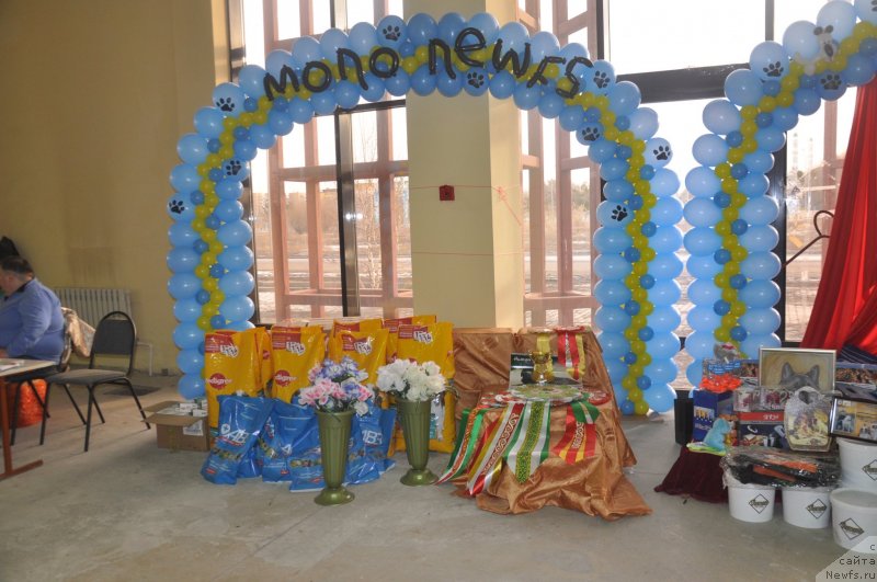 Фотография № 119617