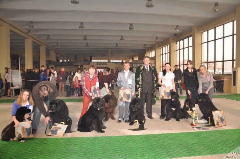 Фотография № 119618