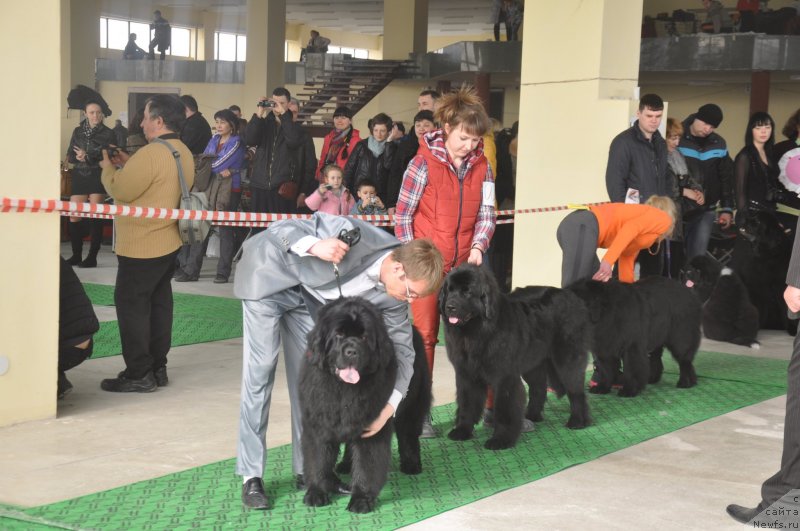 Фотография № 119627