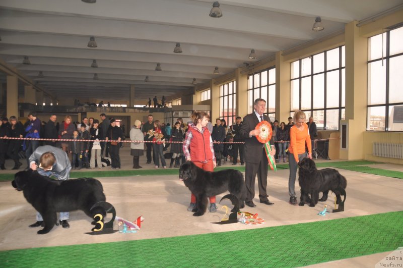 Фотография № 119630