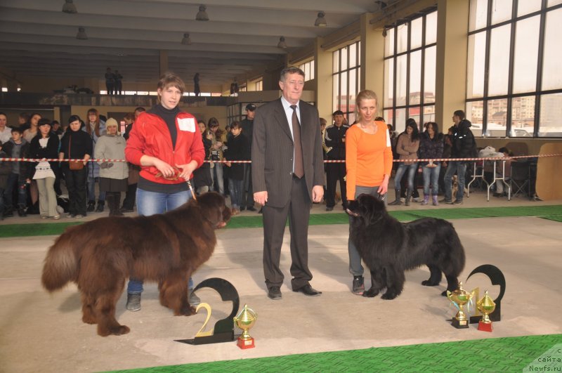 Фотография № 119640