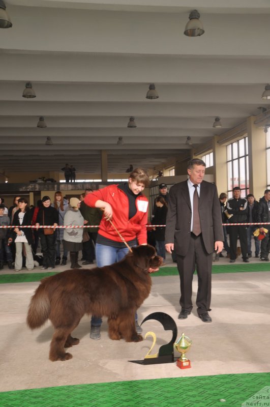 Фотография № 119645