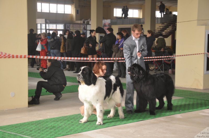 Фотография № 119651