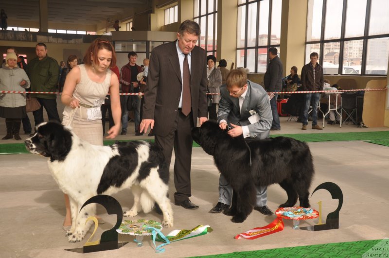 Фотография № 119656