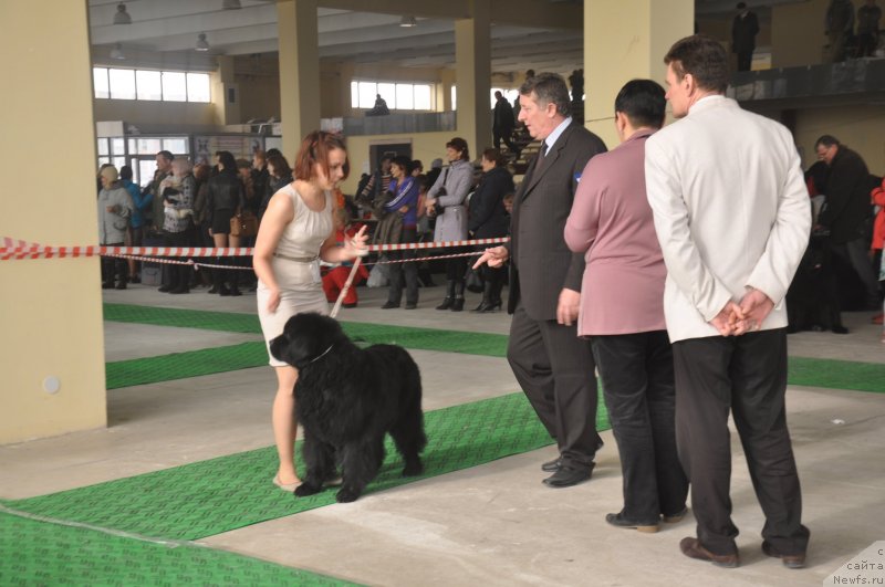 Фотография № 119658