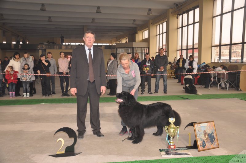 Фотография № 119659