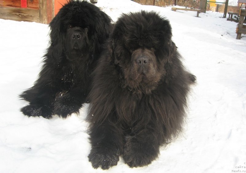 Фотография № 119672