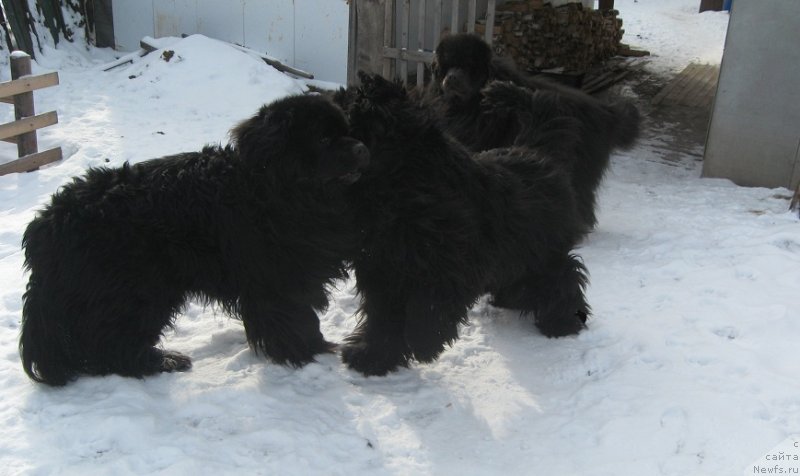 Фотография № 119673