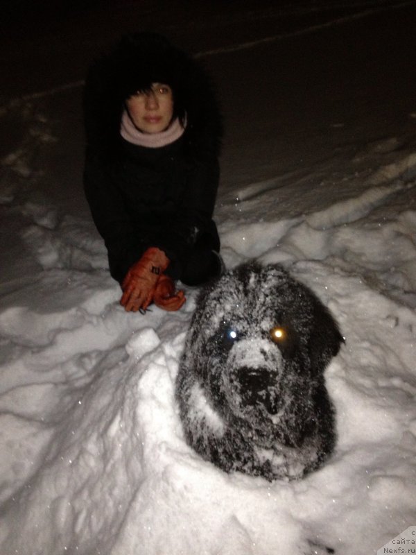 Фотография № 119683