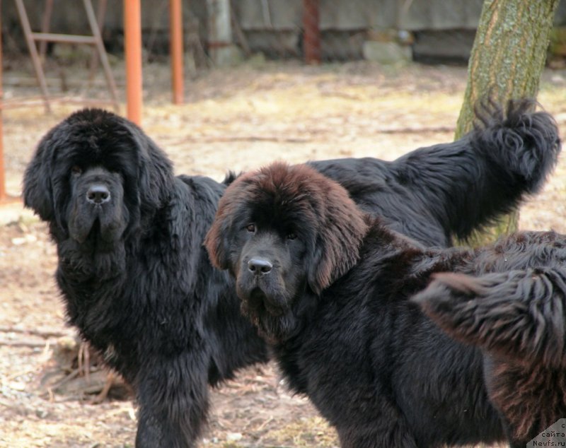 Фотография № 119690