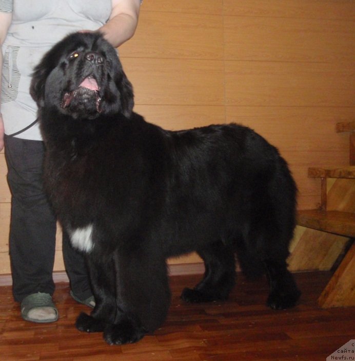 Фотография № 119704