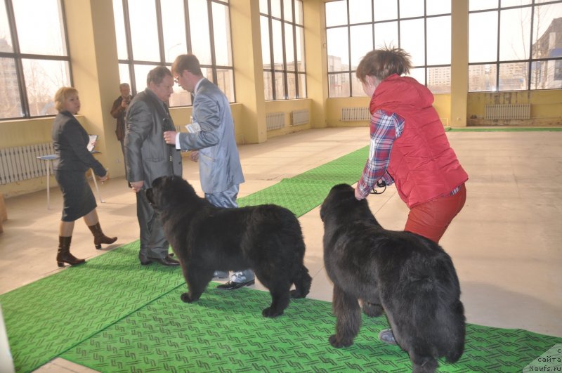 Фотография № 119710