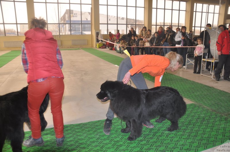 Фотография № 119711