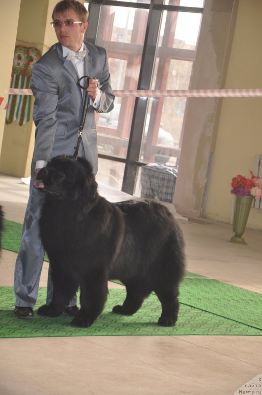 Фотография № 119712