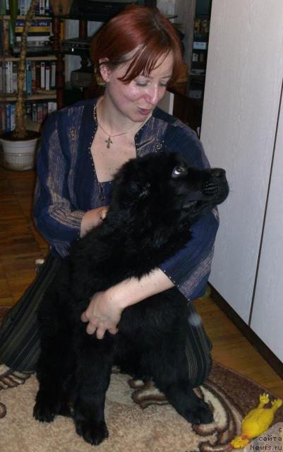 Фото: YAna Savchenko (Яна Савченко)