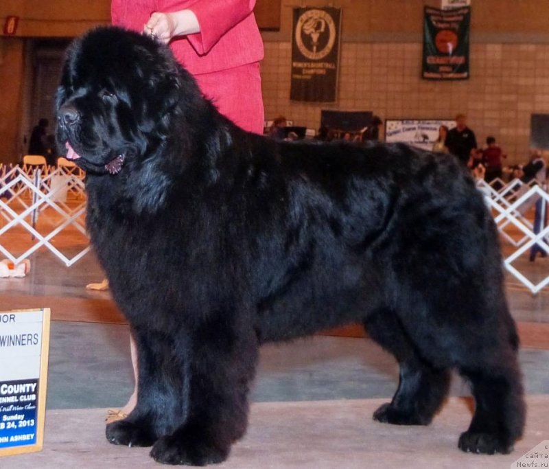 Фотография № 119840