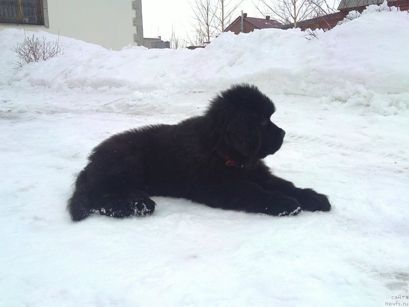 Фотография № 119899