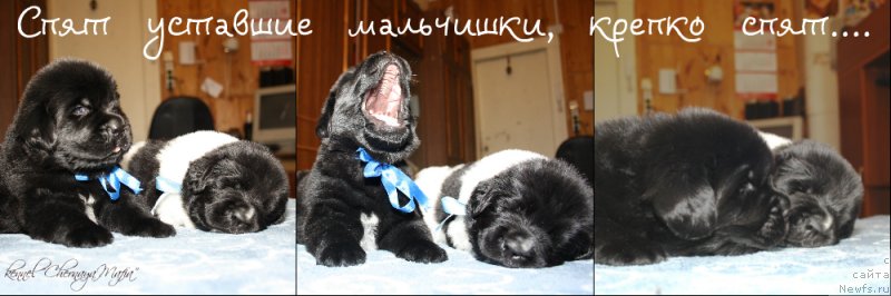 Фотография № 119995