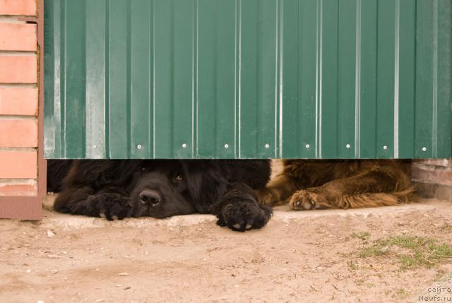 Фотография № 12002