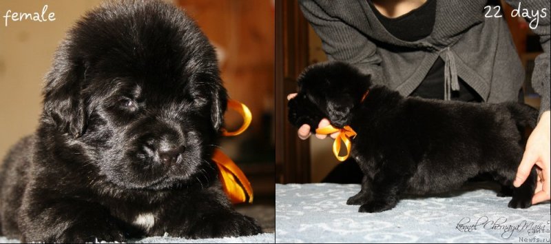 Фотография № 120024