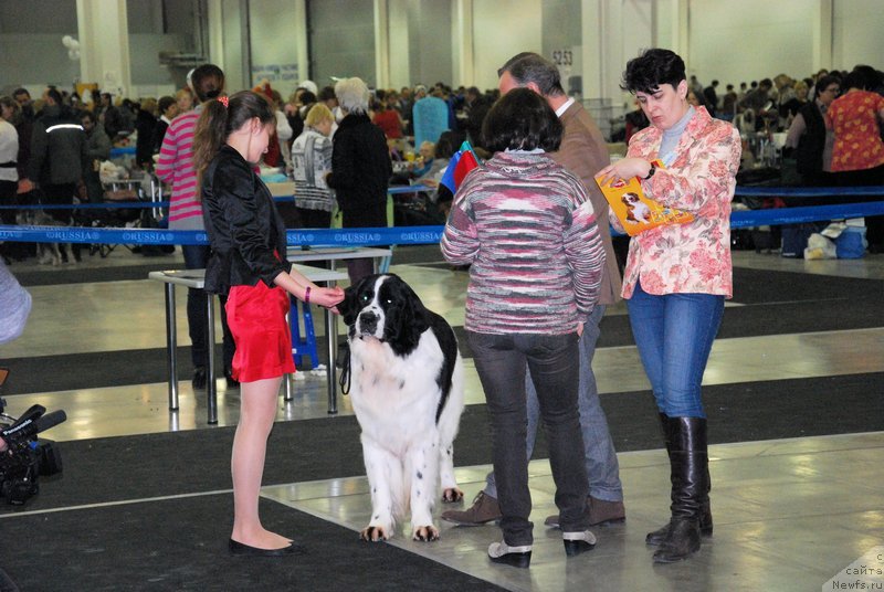 Фотография № 120031