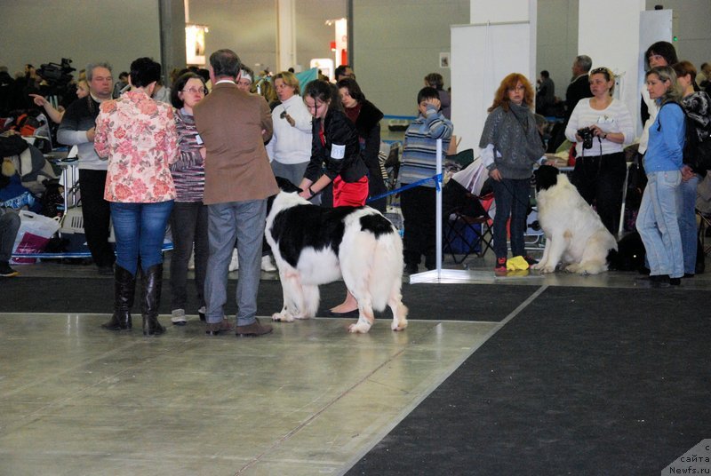 Фотография № 120033