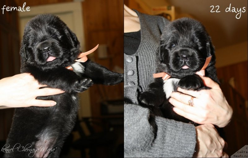 Фотография № 120038