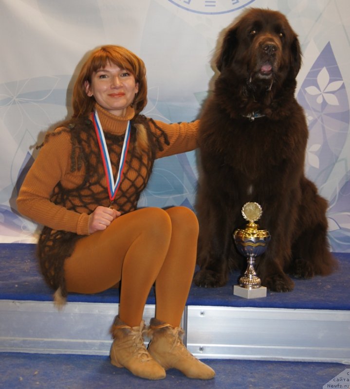 Фото: Marina Novoselova (Марина Новоселова), ньюфаундленд Fann'yuf Gloriya Dey (Фанньюф Глория Дей)