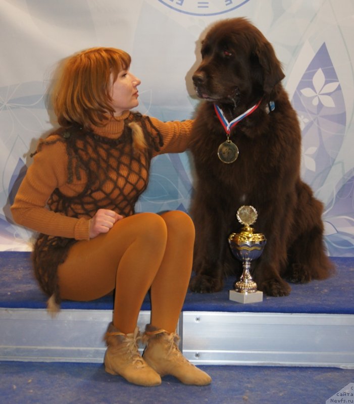 Фото: Marina Novoselova (Марина Новоселова), ньюфаундленд Fann'yuf Gloriya Dey (Фанньюф Глория Дей)