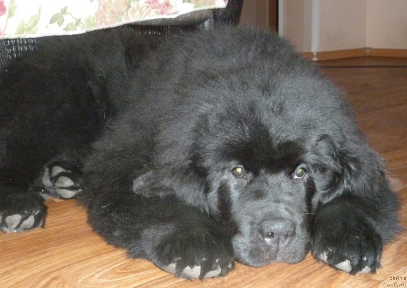 Фотография № 120060