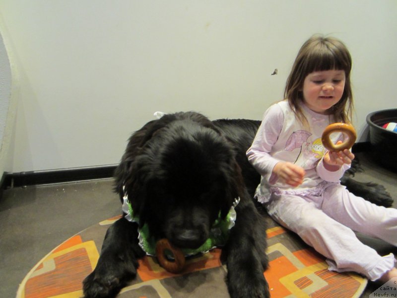 Фотография № 120086