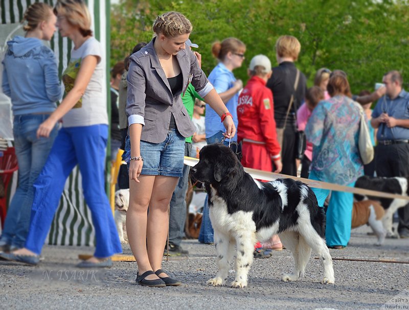 Фото: Aleksandra Budchenko (Александра Будченко)