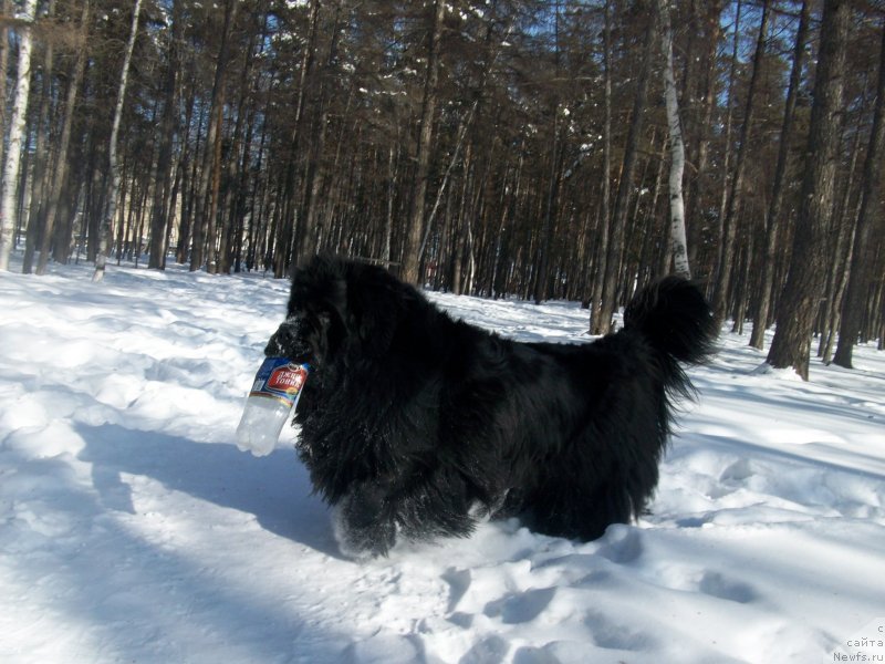 Фотография № 120133