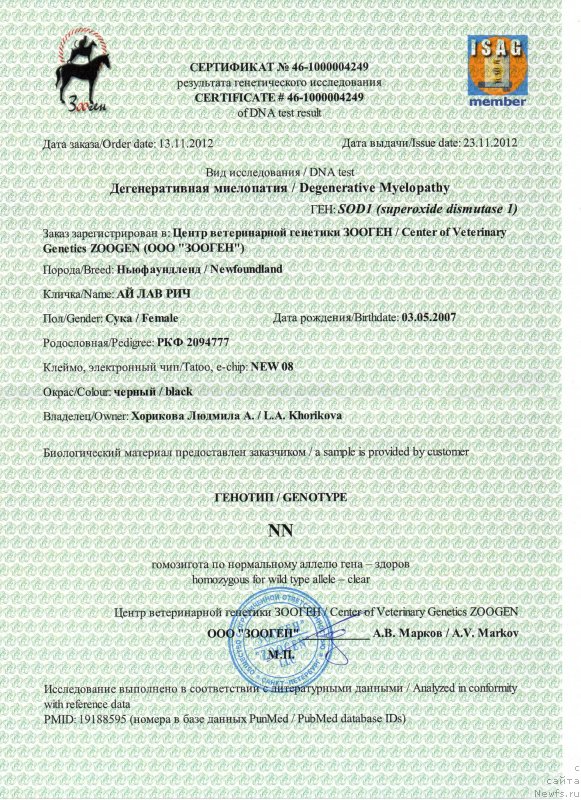 Фото: ньюфаундленд Ai Love Rich (Ай Лав Рич)