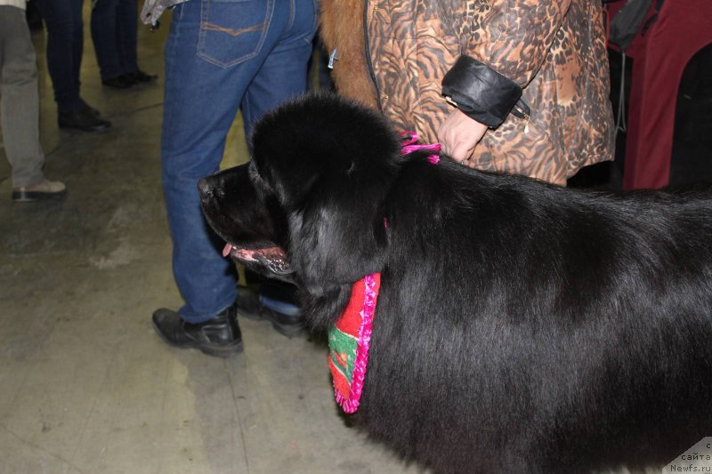 Фотография № 120140